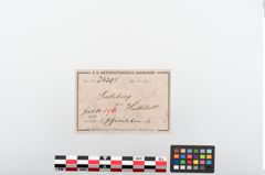 Etiketten zu Bronzetrense (NHMW-PRAE-024293)